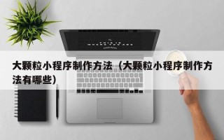 大同大颗粒小程序制作方法（大颗粒小程序制作方法有哪些）
