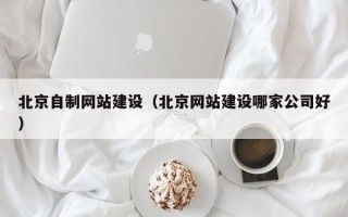 大同北京自制网站建设（北京网站建设哪家公司好）